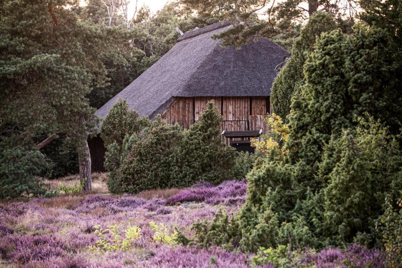 Mcdreyer Ferienwohnung Dedelstorf Exterior foto